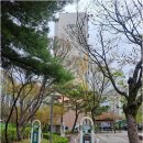 대박부동산중개인사무소 | 송강동에서 믿을 수 있는 공인중개사를 찾고 있다면? 대박공인중개사사무소의 매력적인 특징들!