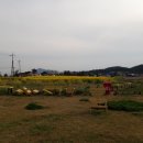 동광리-6 네이버블로그