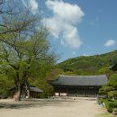 예산 향천사 (禮山 香泉寺) 이미지