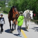 속사초등학교 이미지