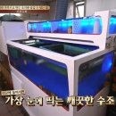 전복집 네이버블로그