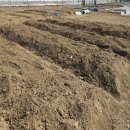 희정이네농장 이미지