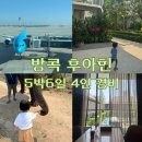 김해출 | 방콕 후아힌 5박6일 4인가족 여행경비 현실 금액 총정리