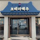 전주 객리단길 술집 | 코레아맥주