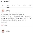 수포차 이미지
