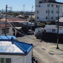 올라비양 이미지