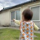 심지방코지 이미지