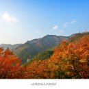 팔공산 이미지