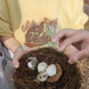 새동네어린이집 이미지