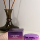 보성유지바이오㈜ | 바이오힐 보 올인원 주름개선크림 프로바이오 3D 리프팅 L-PDRN 크림 후기