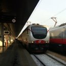 영어초급 야간 이미지