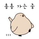 랏키이