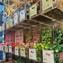 지영약국 이미지