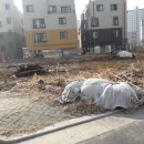 연수동사무소 이미지