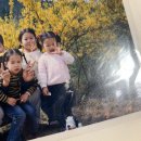 🐉🐍연말연초 일상