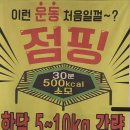 에스(S)점핑 | [방촌동 운동] 신나는 점핑, 에스점핑 S 40일 후기