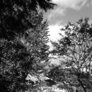 도곡중앙초등학교 이미지