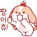 레드앤화이트독 이미지