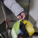 금호청과마트