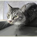 아이조아요양보호소 전남광주점 이미지