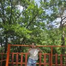 팜스프링 | 강원도 횡성 팜스프링야영장(캠핑장) 솔직 후기