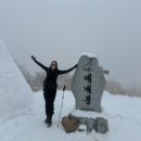 낙동강변로6-13 | [평일산행] 영 신불+간월+영축산 가자Go요~!!! 안내산악회 따라 영남알프스 첫 도전기