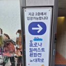 오다나 | 「볼로냐 원화전 후기 : 그림책은 미래를 향한 어른들의 편지였다」