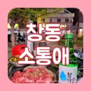 창동 야외 고기집 소통애 야장에서 먹는 양념소갈비살 내돈내산 솔직후기