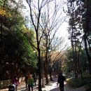 (주) 태영공항리무진