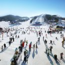 웰리힐리파크 이미지