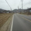 야은초교 이미지