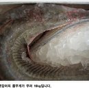 참장어(즙) 엑기스 판매 이미지