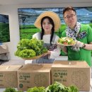 경식농장 이미지