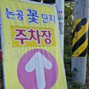 꽃단지 화장실 이미지