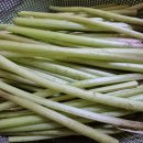 6월3일 화요일 창원방 출석부. 대통령 선거일 이미지