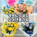 평택고덕꽃집 '모어댄플라워', 당일배송 가능한 24시 무인 꽃집