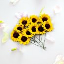 화인플라워 - 성남시 중원구 둔촌대로 303 | 화인플라워