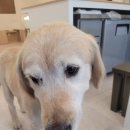 다함동물병원 이미지