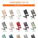 [리뷰]스토케 트리트랩 내돈내산 찐 후기 : 돌돌트 글레시어 그린 후기