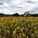 백제모터스 이미지