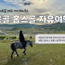 하트하우스 | 몽골 홉스골 자유여행 | 하트갈 MS 게스트하우스 보트&amp;말타기 체험 후기