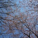 익금2교 이미지