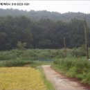 교동면-5 이미지
