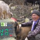 이명규농장 티스토리