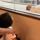 세탁풍경 경산점 | 대구 수성구 시지 경산 산후조리원 시엘산후조리원 객실 음식 면회 퇴소선물