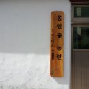 동백 유기농원 네이버블로그