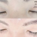 더 데일리 펫샵 이미지