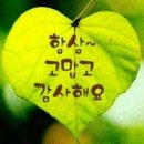 진짜 여자 이미지