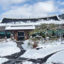 달맞이흑두부 이미지