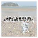 서해안호프 | 보령_숙소 앞 해루질 가능한 오션뷰 숙소 비체팰리스, 스위트 27평 후기